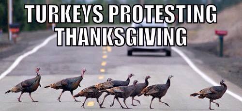 turkey-protest